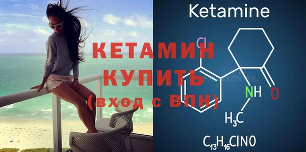 шишки Нестеровская