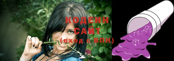 шишки Нестеровская