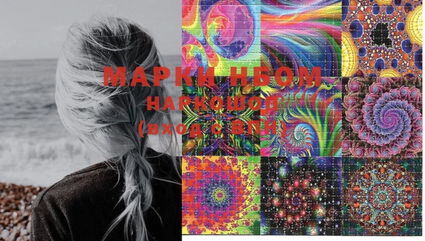 шишки Нестеровская