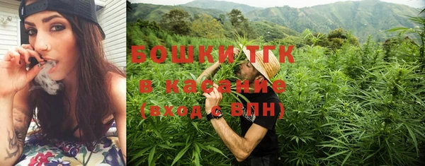 сатива Калининец