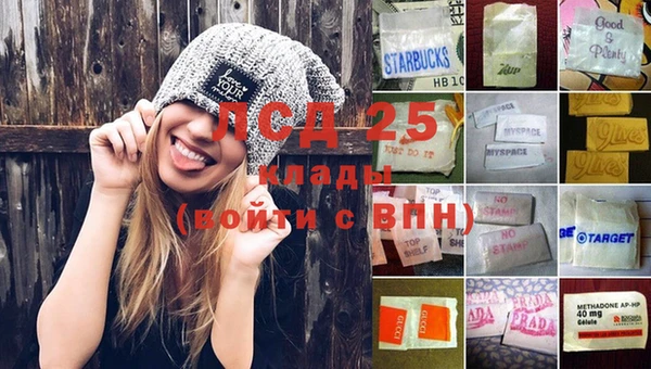 шишки Нестеровская