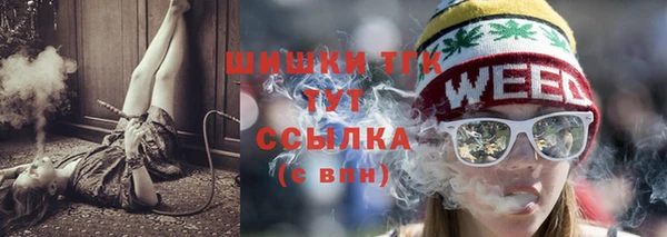 шишки Нестеровская