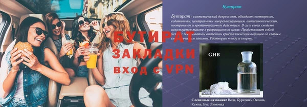 шишки Нестеровская